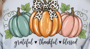 Grateful Thankful Blessed Pumpkin | Real Glitter | Sweatshirt | T-shirt | Hoodie – Fall Christian Apparel | Leopard Bow Autumn Crewneck | Faith-Inspired Boutique Clothing | New Arrival | Best Seller