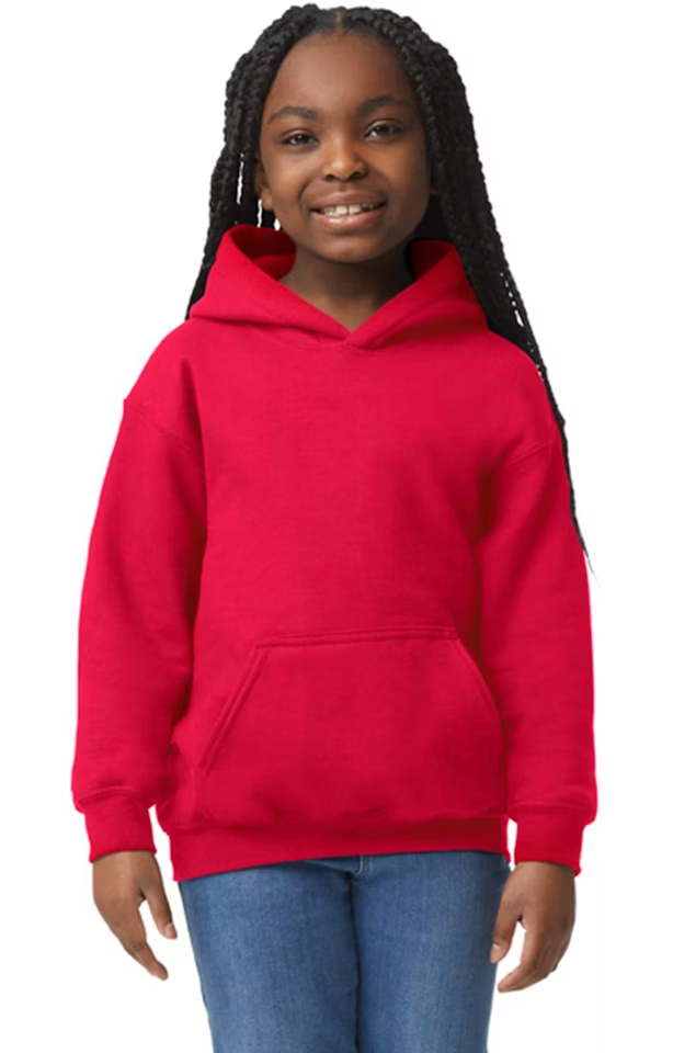 Youth Hoodie sweatshirt unisex buy more and save -Free Shipping in September