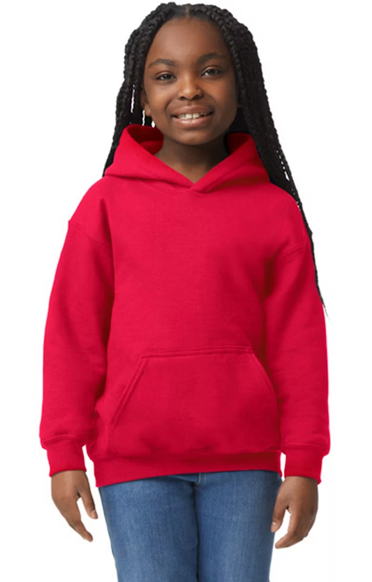 Youth Hoodie sweatshirt unisex buy more and save -Free Shipping in September